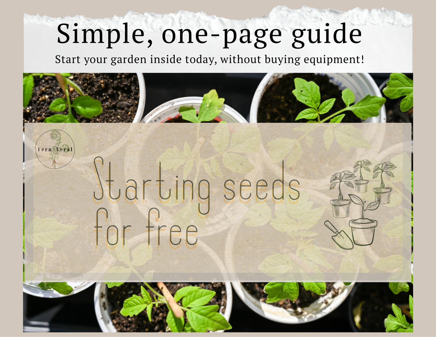 No fuss, No-Buy Seed Starting Printable Guide