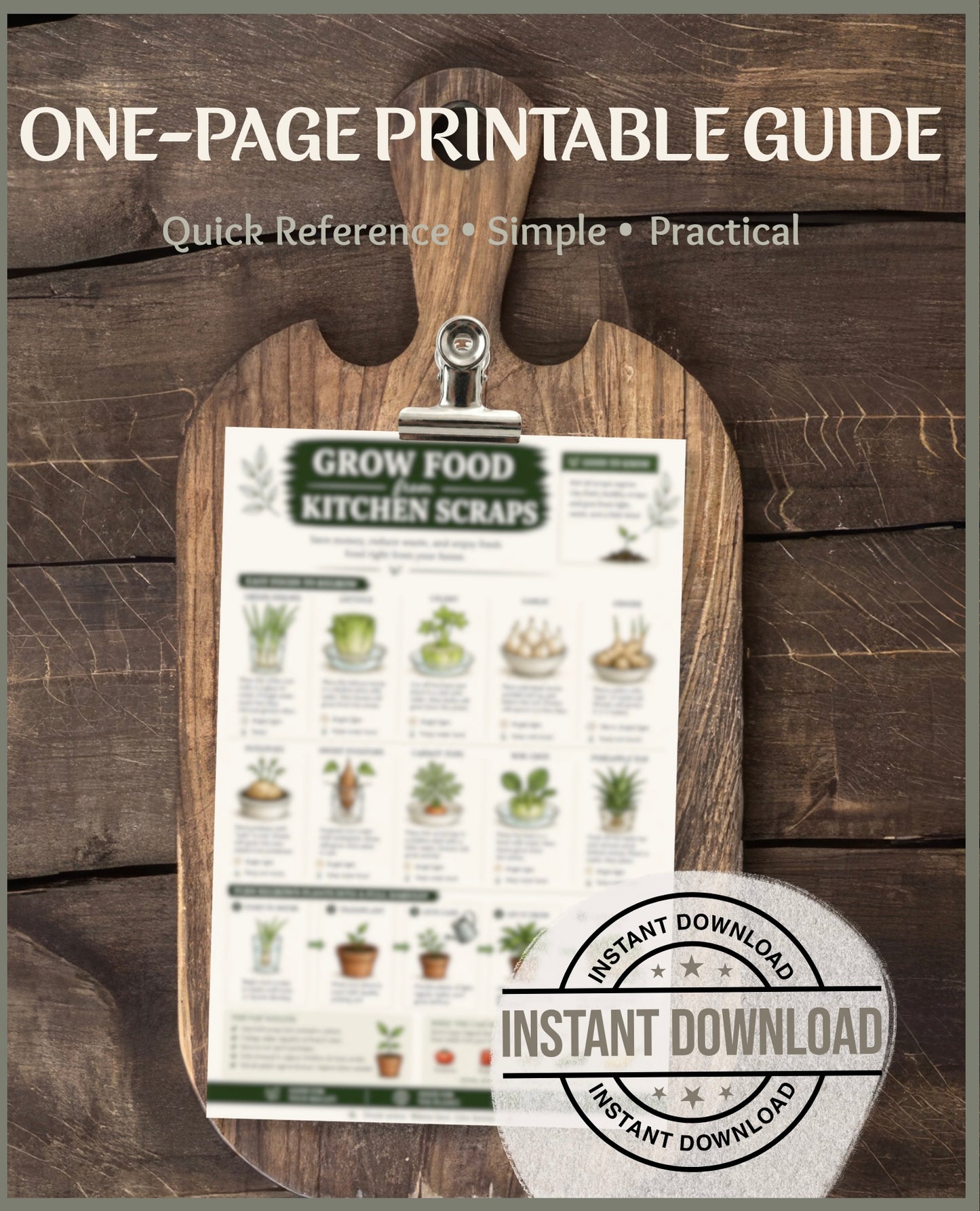 Grow Food From Kitchen Scraps Printable Guide | Regrow Vegetables Cheat Sheet PDF | Sustainable Gardening | Instant Download