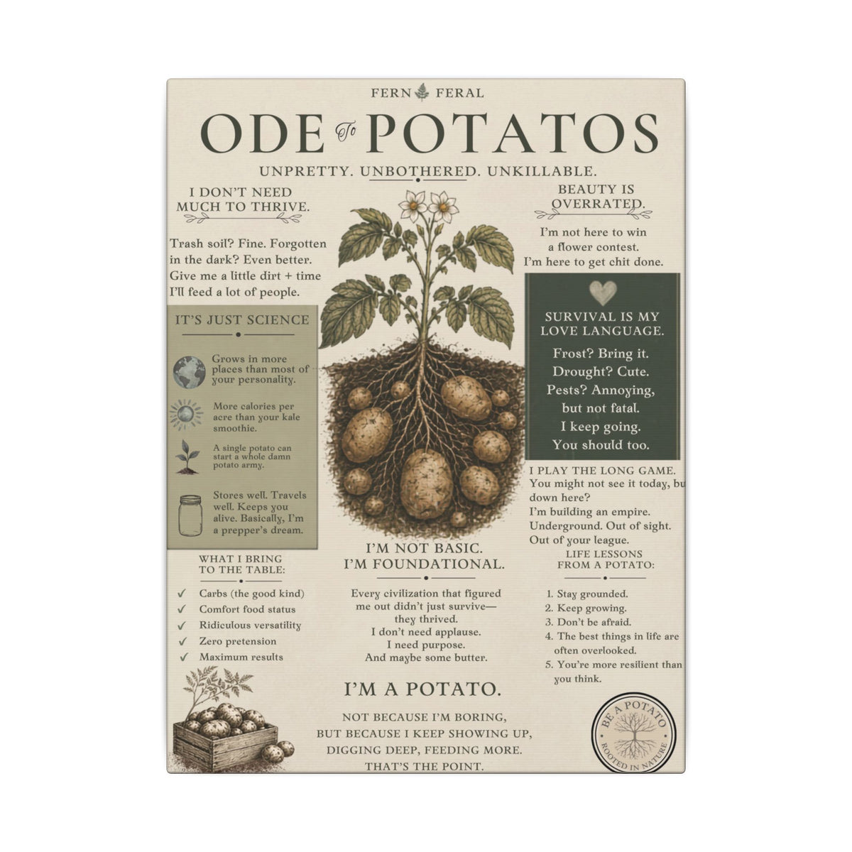 Potato Plant Illustration Matte Canvas