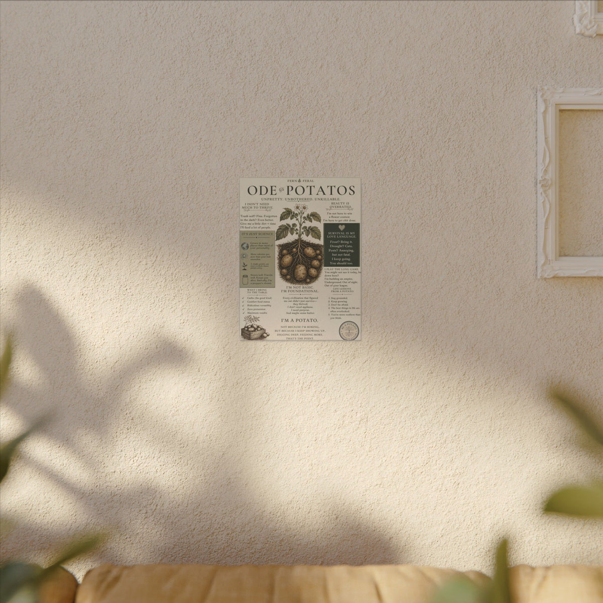 Potato Plant Illustration Matte Canvas