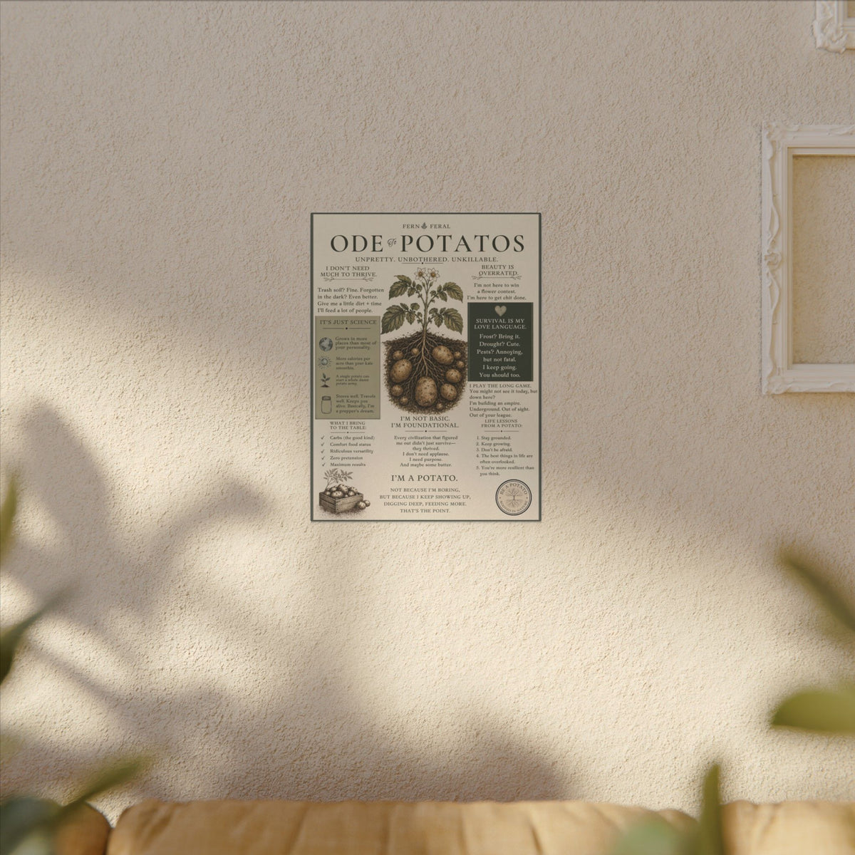 Potato Plant Illustration Matte Canvas