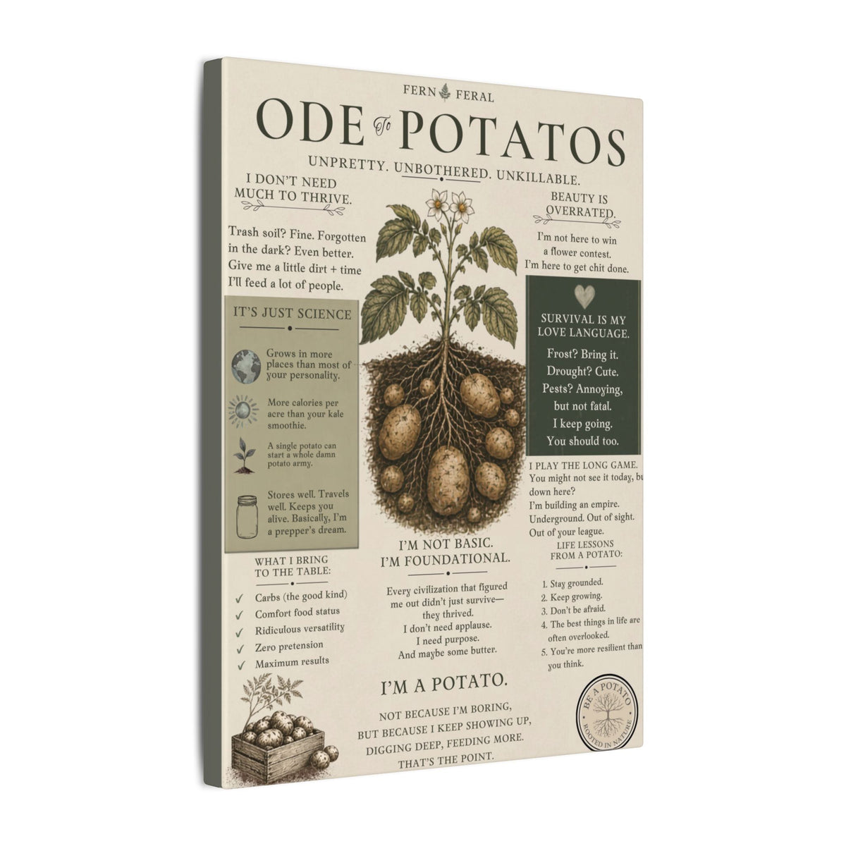 Potato Plant Illustration Matte Canvas