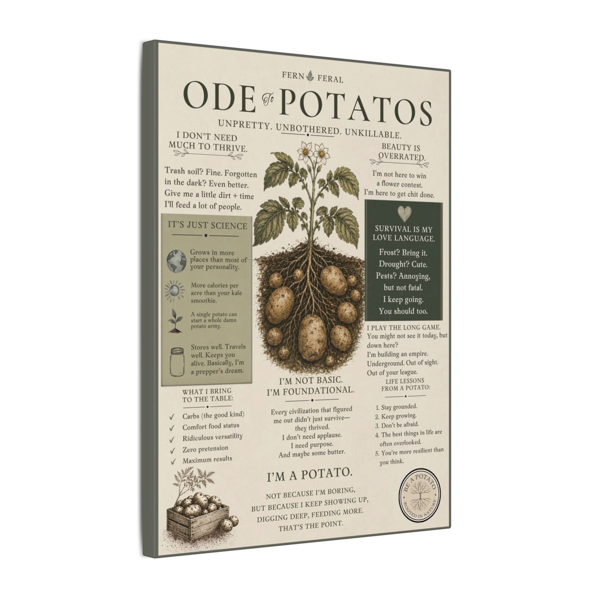 Potato Plant Illustration Matte Canvas