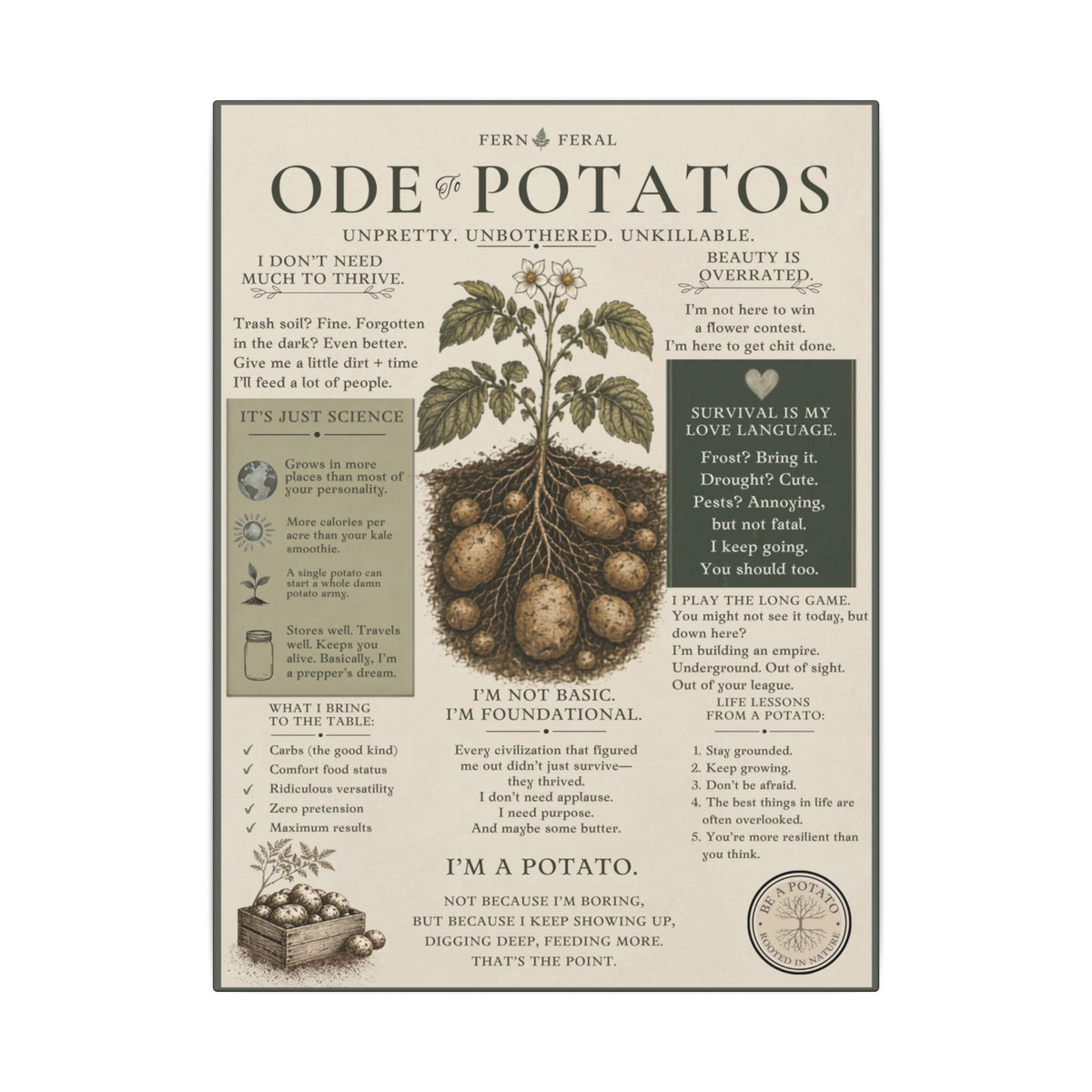 Potato Plant Illustration Matte Canvas